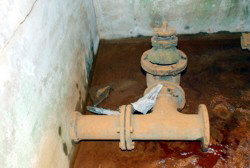 02. 2008 Lambachpumpe Foto: Hejo Mies