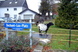 1.2010.11.21 Foto: Hejo Mies