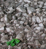 Rmerstrae Blankenheimerdorf