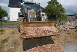 1597_. . . mit vielen kleinen "lewener klein Steincher".