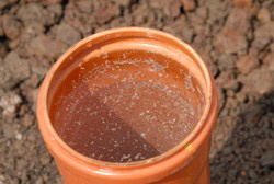 Aber oh weh, kein Bier, nur Wasser in der Leitung . . . 