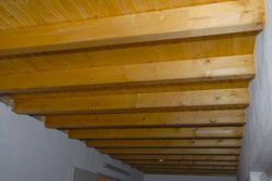 1928_Hier war ein fleiiges Bienchen  am Werk.