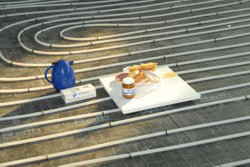 Stillleben: "Das vergessene Frhstck"