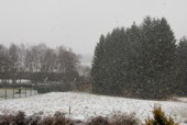 Nach vielen Tagen bitterer trockener Klte, am Morgen Schneeschauer die sich ber Tag in Regen- und Schneeschauern abwechselten. Um 0 Grad