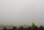 Nebel der nicht weichen will. (10.30 Uhr)