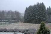 Nach vielen Regentagen erster leichter Schneefall der liegenbleibt. (10.30h um 0 Grad)
