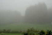 Ohne Schnee und dichtem Nebel verabschiedet sich 2009