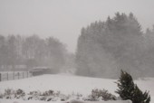 Mit Sturm und Schnee im Gepck kam der Winter mit brachialer Gewalt zurck. 20 cm Neuschnee in der Nacht.