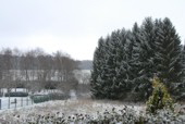 Schnee wie_Staubzucker fllt vom Himmel. Minus 4,7 Grad am Tag.
