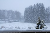 Bis 22 Uhr mehr als 25cm Neuschnee. Und es schneit weiter bei 0 Grad.
