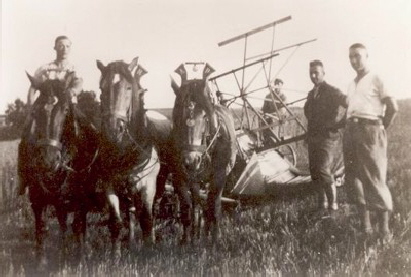Rohens Alex (2.v.r.) mit Helfern bei der Getreideernte, um 1936 (Archiv Hejo Mies)