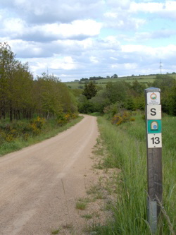 Wanderweg bei Blankenheim-Wald. Foto Hejo Mies
