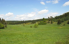 Blick ber den Simonsseifen in Richtung  Lomberg.