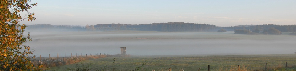 Nebel ber Gerhardsrot