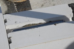 Grundsteinlegung um 18.47 Uhr