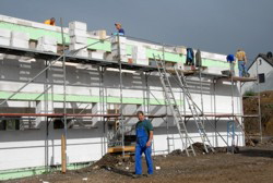 Fleiig wie die Ameisen . . .