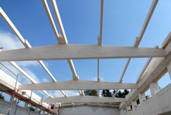 Blick durch das Geblk in den blauen Himmel.