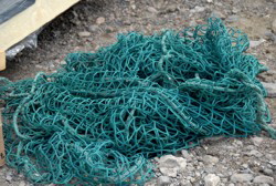 Das Sprungseil ? soll gespannt werden. Arbeiten ist angesagt, nix spielen.