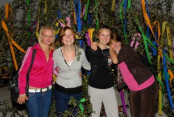 Ist das nicht schn . . .