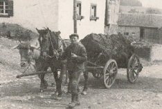 Eine Fuhre Dnger frs Kartoffelfeld. Archivbild : J. Vossen  