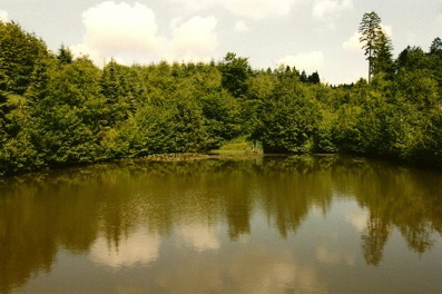 1997 Das Biotop im Rosensiefen (Foto Hejo Mies)