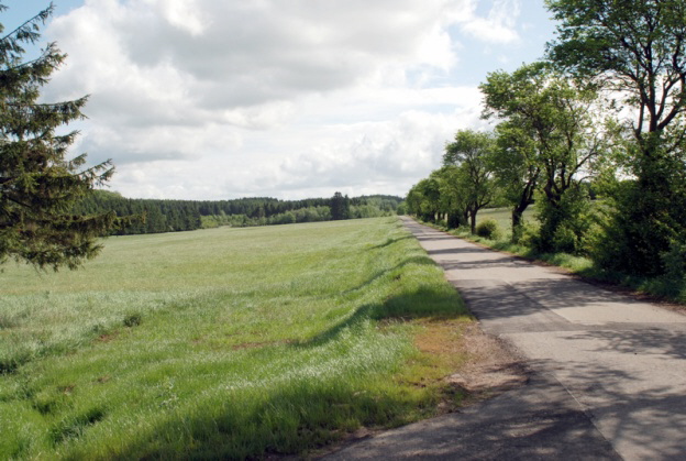 Prommeallee (Foto Hejo Mies 2007)