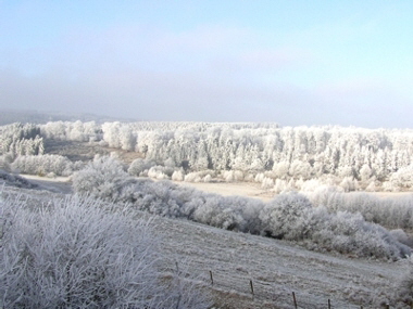 Raureif ber Lomberg   Hejo Mies