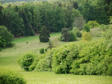 Seidenbachtal   Hejo Mies